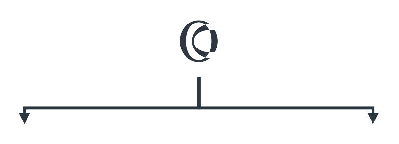 Oraya Capital Oraya Capital asset